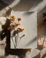 Dried flowers on handmade paper with soft shadows, creating minimalist natural composition for wedding invitations or home decor.