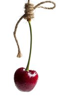 Fresh ripe cherry with water drops hanging on rope stem against white background, isolated food concept for creative design and advertising.