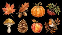 Autumn nature clipart set with pumpkin, mushroom, apple, robin bird, pine cone, acorn, maple leaf, and berries, isolated on transparent background, for stickers and print on demand.