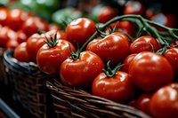 Fresh ripe red tomatoes with green stems in wicker basket at farmers market. Organic vegetables harvest concept for healthy cooking and nutrition.