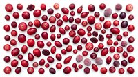 Fresh cranberries scattered on white background showing variety of sizes and ripeness stages. Isolated organic berries perfect for food design projects.