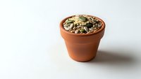 Small terracotta pot filled with mixed seeds and nuts on white background for healthy snacking and cooking ingredients.