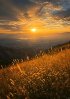 Dramatic golden sunset over mountain valley with sunlit wild grass in foreground, dramatic clouds and sun rays creating atmospheric landscape scene.