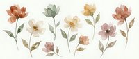Watercolor floral elements with soft blooms in coral, sage and cream tones on white background. Isolated botanical illustrations for wedding invitations.