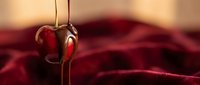 Glossy chocolate syrup dripping from spoon onto rich red velvet fabric creating luxurious dessert styling composition for culinary and food photography projects.