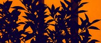 Silhouettes of tropical foliage and palm leaves against vibrant orange sunset sky, creating dramatic contrast for nature and travel design projects.