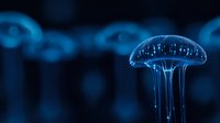 Luminescent jellyfish floating in dark blue waters, glowing with ethereal bioluminescence, creating mystical underwater atmosphere for nature and marine life designs.