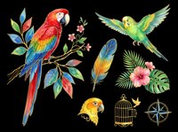Colorful tropical parrots clipart set isolated on transparent background, featuring macaw, budgie, feathers, birdcage, and exotic flowers for stickers, t-shirt design, print on demand.
