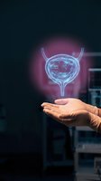 Holographic bladder anatomy floating above open palm showcasing futuristic medical technology and healthcare innovation for urology education and digital health concepts.