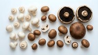 Assorted fresh and dried mushrooms including button, cremini, and portobello varieties arranged on white background, suitable for food photography, culinary content, cooking blogs, recipe illustrations, and restaurant menus.