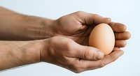 Hands holding fresh brown egg, isolated on white background for food, nutrition, cooking, and agricultural concepts.