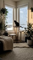 Black cat sitting on wooden stool by corner windows during snowfall in cozy living room with houseplants and knitted blanket creating peaceful winter atmosphere.