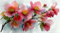 Delicate pink cherry blossoms with yellow centers on branch, watercolor style floral art for spring decor, botanical illustration, nature design.