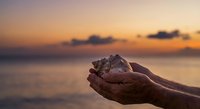 Hands gently holding seashells at golden hour sunset over calm ocean waters. Peaceful beach moment capturing nature's treasures during magical twilight.