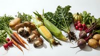 Fresh organic vegetables and herbs arranged on white background including corn, kale, radishes, carrots, potatoes and mushrooms for healthy cooking.
