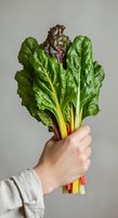 Fresh chard bunch with vibrant green and red stems held in hand against neutral background, isolated for healthy eating and organic produce concepts.