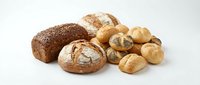 Assorted fresh baked bread loaves and rolls isolated on white background, ready for bakery, food service, or culinary design projects.