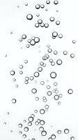 Clear water bubbles floating upward on white background isolated for design elements and digital compositions.