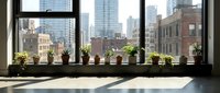 Urban apartment windowsill garden with potted plants overlooking city skyline. Indoor gardening concept for modern living spaces and home decor inspiration.