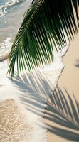 Palm frond casting shadow on white sandy beach with gentle ocean waves and sparkling water, creating tropical summer atmosphere for travel and resort designs.