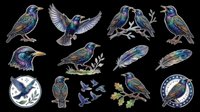 Iridescent starling bird sticker sheet with feathers, badges, and poses, isolated on transparent background. Great for t-shirts, clipart, stickers, and print on demand.