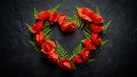 Red poppy flowers arranged in heart shape with green fern leaves on dark slate background for remembrance day memorial tribute decoration.