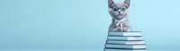 Funny gray cat in glasses sitting on stack of books against blue background, academic education concept for reading and learning.