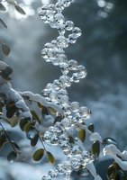 Frozen water droplets form spiral pattern on winter branch, creating crystalline chain against blurred snowy background with green leaves. Nature macro photography.