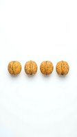 Four whole walnuts in shells arranged in a row on white background, isolated and ready for design use in food, nutrition, and healthy eating projects.