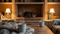 Cozy living room with a tabby cat resting on a built-in shelf nook, warm lamps, books, mugs, and soft blankets creating a hygge atmosphere.