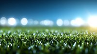 Green grass field at night with stadium lights creating bokeh effect background, close-up view of turf blades illuminated under floodlights for sports events.