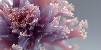 Close-up of delicate purple flower with golden stamens and soft petals creating dreamy botanical composition for nature and floral design projects.