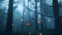 Mystical forest scene with glowing orange lights in foggy background and detailed spider web in foreground, creating ethereal atmospheric woodland at dusk.