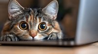 Curious tabby cat with big amber eyes peeking over laptop keyboard, creating humorous moment while working from home. Close up portrait shows playful feline expression.
