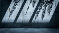 Fern leaf shadows cast on concrete wall creating dramatic diagonal patterns, suitable for modern interior design, backgrounds, and architectural photography projects.