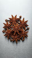 Star anise spices arranged in circular pattern with cloves on brushed metal surface for culinary and cooking applications.