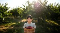 Young Asian female farmer holding wooden basket filled with fresh red cherries in orchard during golden hour harvest season.