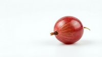 Fresh red gooseberry fruit isolated on white background for culinary and healthy eating designs.