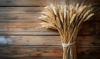 Golden wheat sheaf bundle in glass vase against rustic wooden planks background, natural light from left creates warm atmospheric farm ambiance.