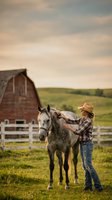 Cowgirl in plaid shirt and straw hat saddling gray horse on rural farm with red barn and rolling hills in background for ranch and western lifestyle concepts.