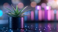 Small green succulent plant in black pot against blurred neon lights and bokeh background creates modern minimalist composition with purple and blue tones.
