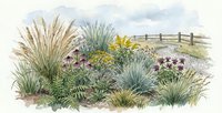 Watercolor coastal garden with native grasses, wildflowers and wooden fence. Botanical illustration for landscaping, gardening and nature design projects.