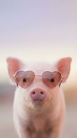 Adorable pink piglet wearing heart-shaped sunglasses against soft pastel background for cute animal and fashion concepts.