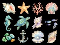 Watercolor ocean life collection featuring seashells, starfish, sea turtle, seahorse, jellyfish, coral, and anchor isolated on transparent background. Ready for t-shirt design, clipart, stickers, and print-on-demand products.