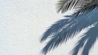 Palm tree shadow cast on white textured wall creates tropical minimalist composition with natural sunlight and delicate frond patterns.