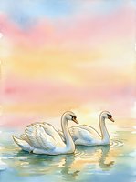 Pair of white swans swimming together in calm water at sunset, with soft pastel sky in pink, yellow, and blue tones. Watercolor style artwork suitable for home decor, greeting cards, and children's illustrations.