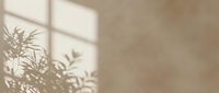 Soft window light casting plant leaf shadows on neutral beige wall, creating minimalist aesthetic for interior design and home decor projects.