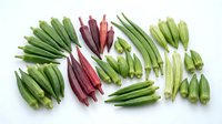 Colorful okra pods in green and red varieties arranged on white background, fresh organic vegetables for healthy cooking and nutrition concepts.
