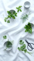 Fresh herbs mint parsley dill arranged on white fabric with ceramic bowls and scissors for culinary cooking and kitchen preparation flatlay composition.