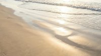 Gentle ocean waves washing onto golden sandy beach shore with soft foam and wet sand reflecting sunlight creating peaceful coastal seascape for relaxation and travel.